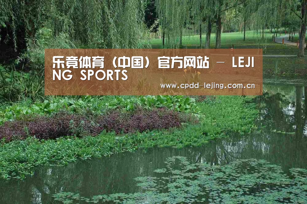 案例展示一(图1)