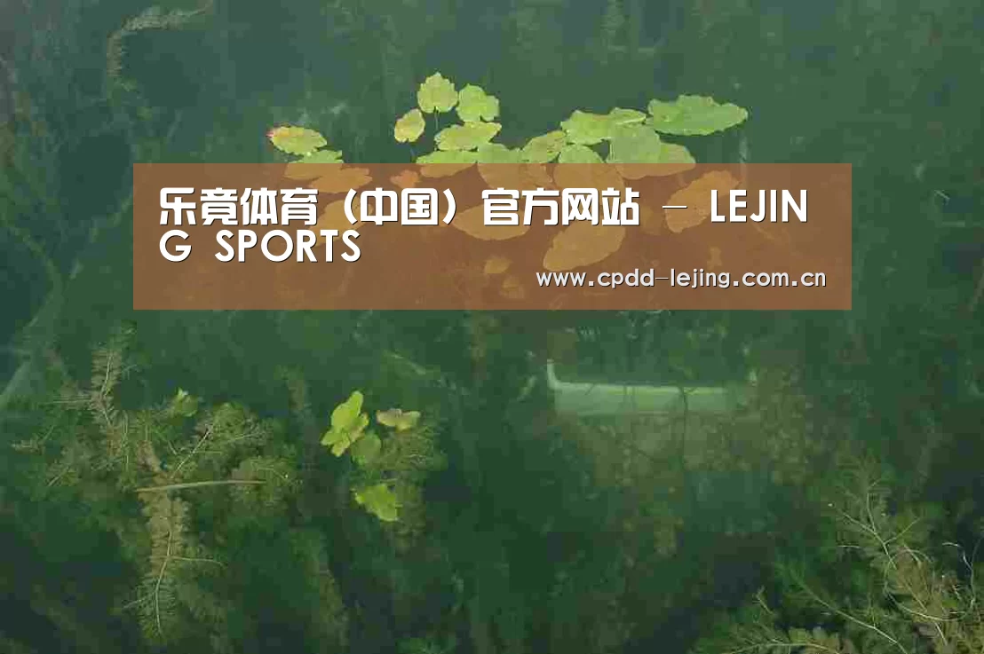 案例展示三(图1)