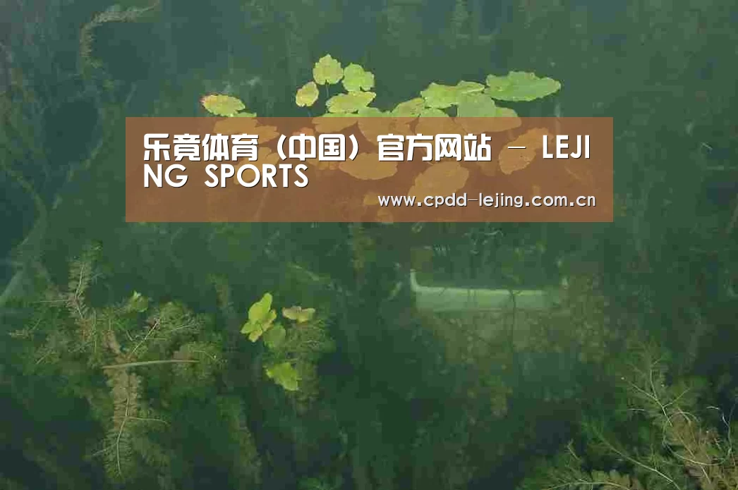 案例展示三