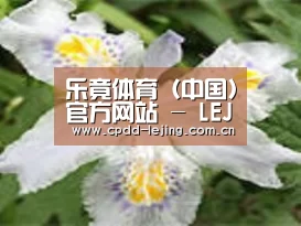 产品名称二