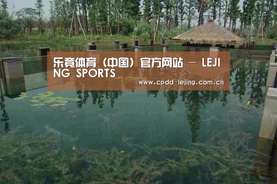 案例展示二