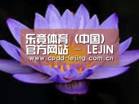 产品名称六