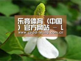 产品名称三