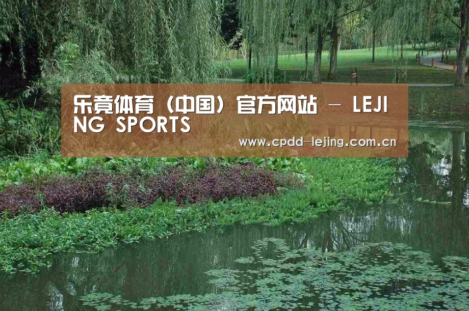 案例展示一