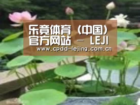 产品名称一