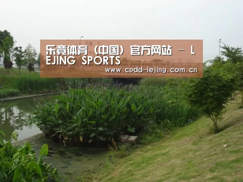 案例展示四