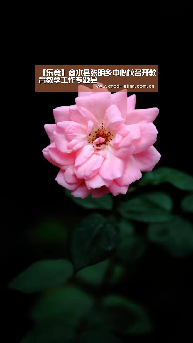 【乐竞】商水县张明乡中心校召开教育教学工作专题会(图2) 乐竞俱乐部