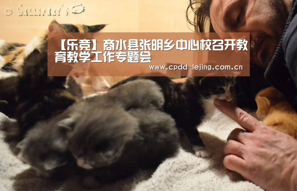 【乐竞】商水县张明乡中心校召开教育教学工作专题会(图1) 乐竞运动