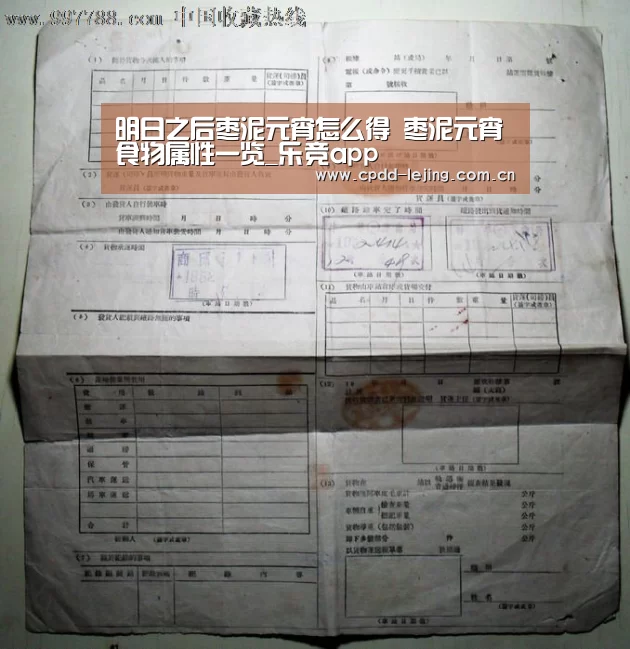 乐竞运动