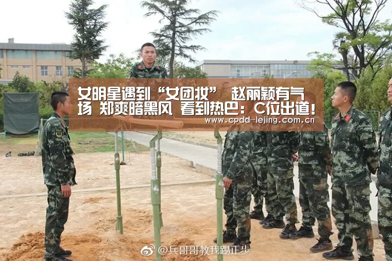 女明星遇到“女团妆” 赵丽颖有气场 郑爽暗黑风 看到热巴:C位出道!“lejing”(图8) 乐竞俱乐部
