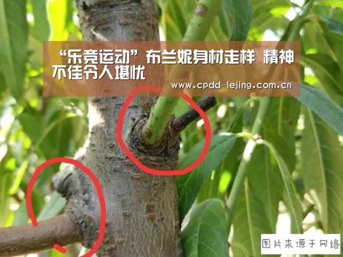 乐竞